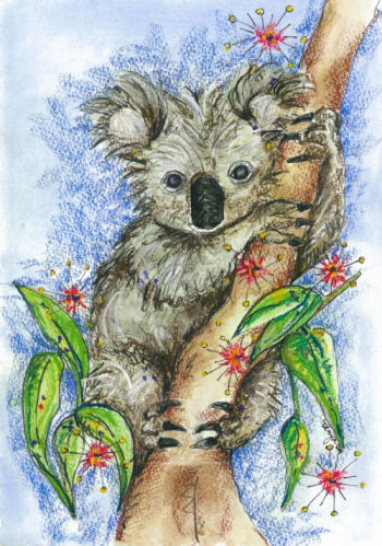 5-Pack Greeting Cards - Koala