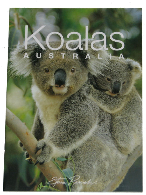 Book: Koalas Little Gift Book