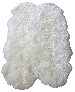Sheep skin rug